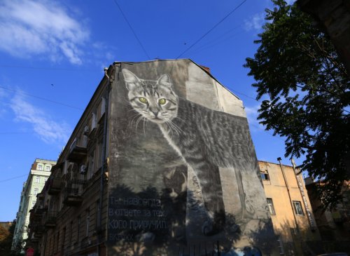 В Одессе на одной из улиц появился огромный кот