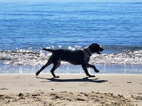 Оксамитовий сезон в Одесі: чи можна купатися 12 вересня