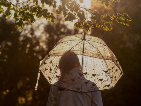 Трохи потеплішає — якою погодою буде в Одесі сьогодні