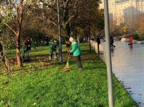 В Одесі тривають масштабні роботи з благоустрою зелених зон