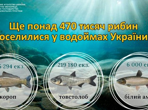 Хаджибейський лиман отримав понад 400 тисяч молодих риб: розпочато осіннє зариблення