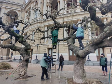 Весняне оновлення Одеси: комунальники розпочали масштабну підготовку зелених зон