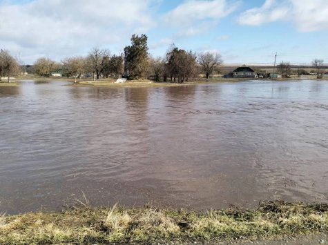 На Одещині попереджають про ризик затоплення: у Вилковому та прибережних районах очікується підвищення рівня води