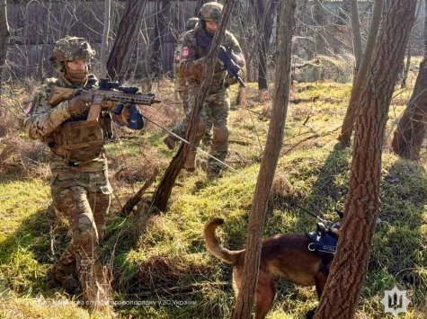 Пліч-о-пліч: в Одесі пройшли спільні тренування військових правоохоронців та прикордонників