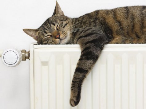 На Одещині АМКУ порушив справу проти монополіста через завищену абонплату