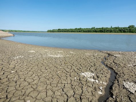 Рекордне за 130 років обміління Дністра загрожує екологічною катастрофою